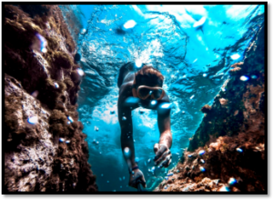 3.Go to Land’s End and El Arco de Cabo San Lucas