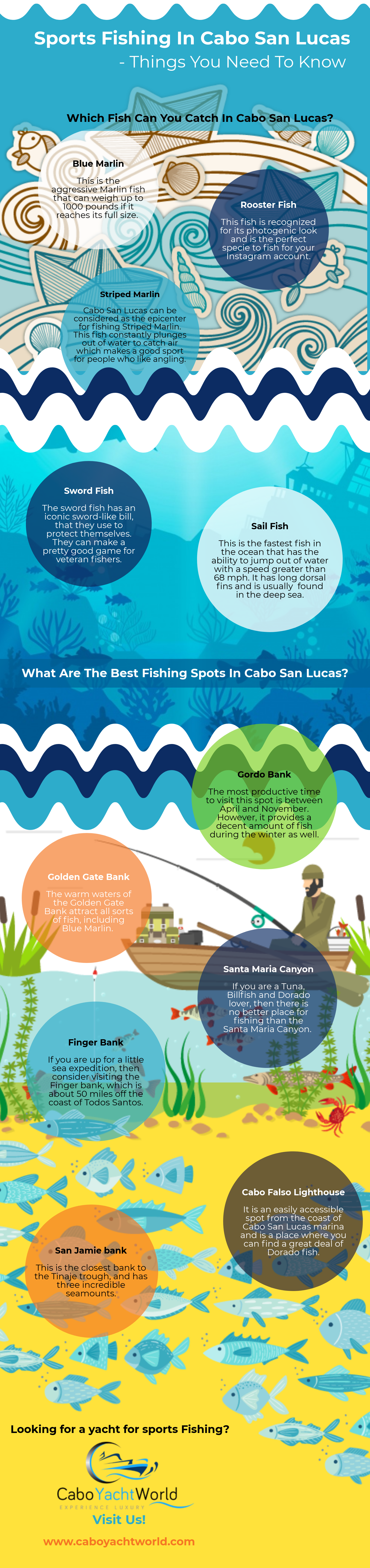 Sports Fishing In Cabo San Lucas