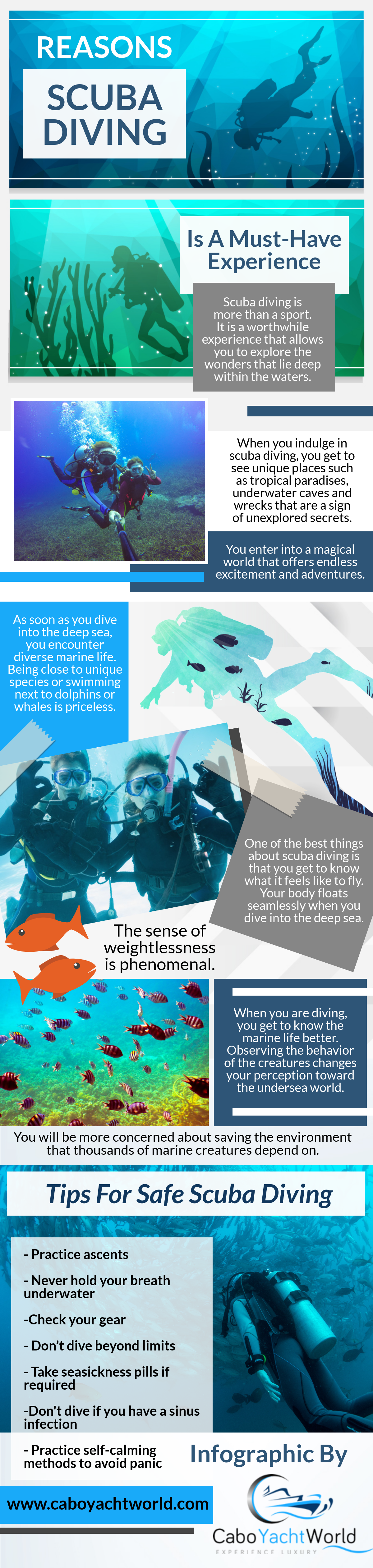 Scuba Diving Is A Must-Have Experience