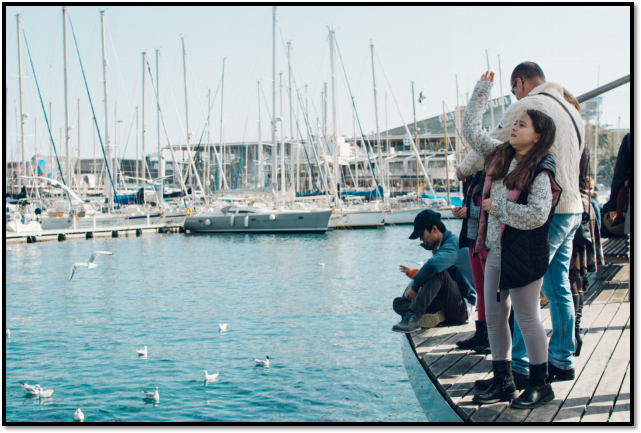 sighting a whale isn’t always guaranteed