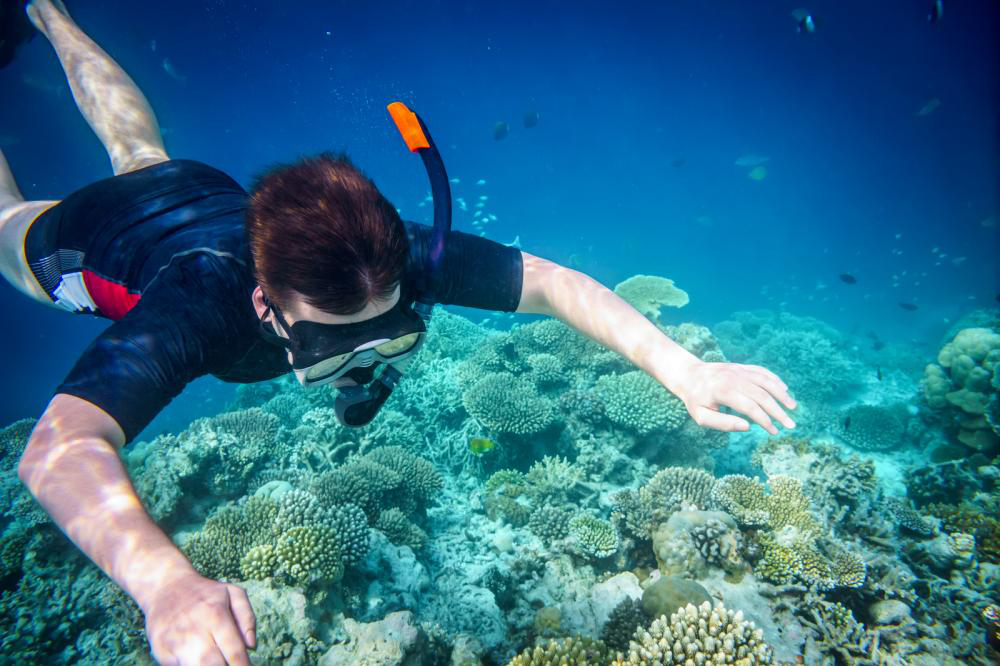 Snorkeling and Scuba Diving