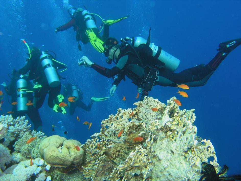 scuba diving experience