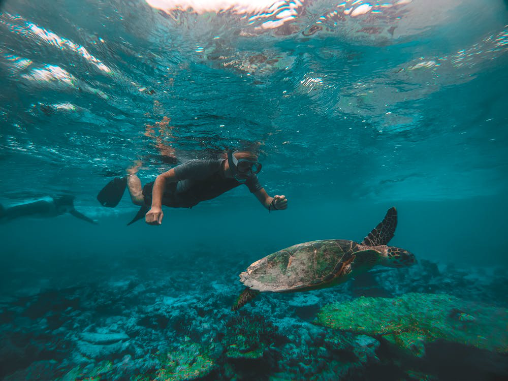 Snorkeling