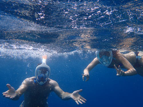 snorkeling in Cabo San Lucas