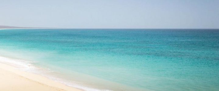 3 Things to Experience in Cabo