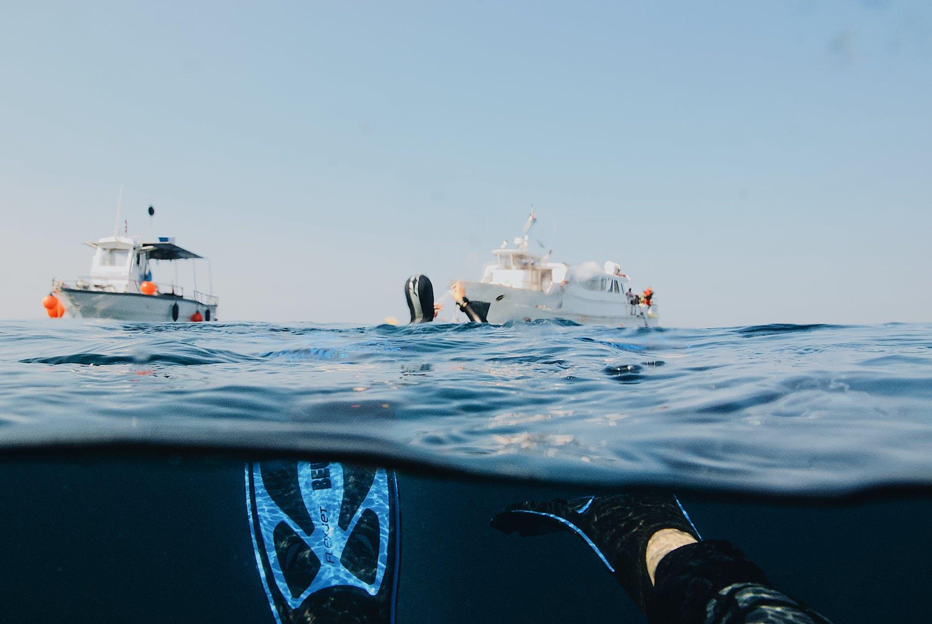 People enjoying scuba diving