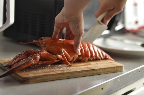 A chef is cutting a lobster with a knife