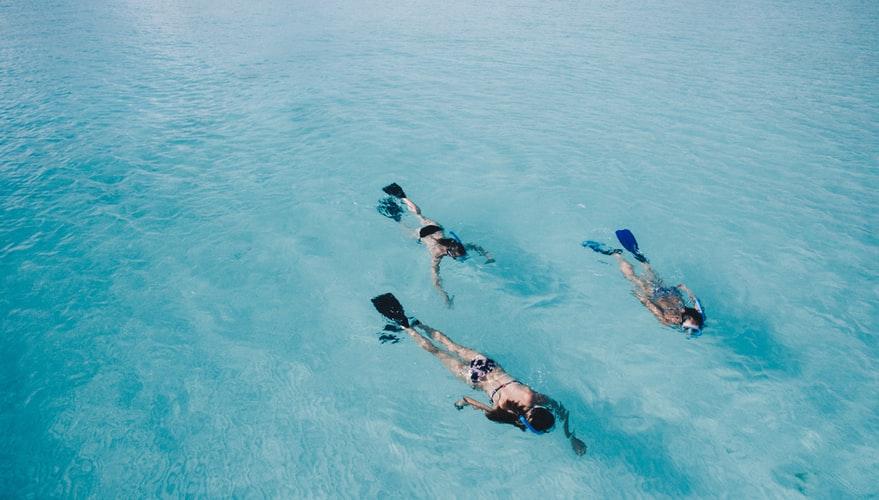 three people snorkeling