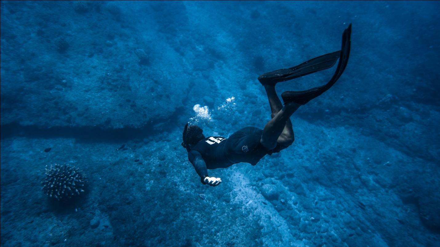 a person during sea diving