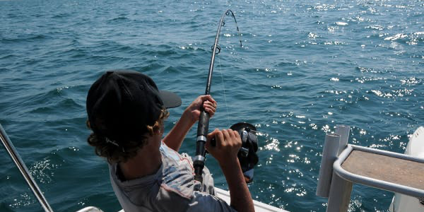 2 Species And Sizes Of Sportsfish In Cabo