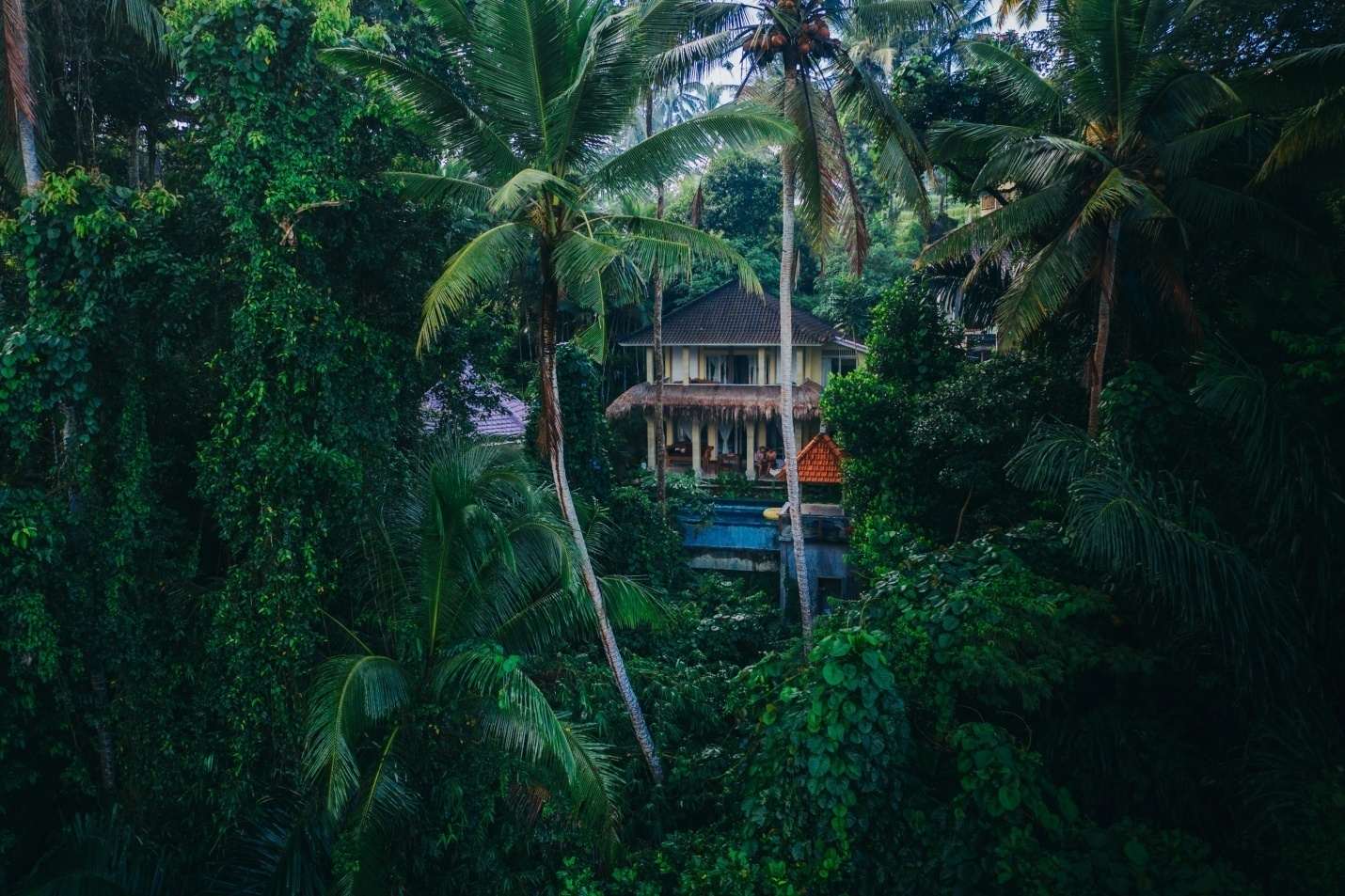 Aerial shot of villa in the jungle