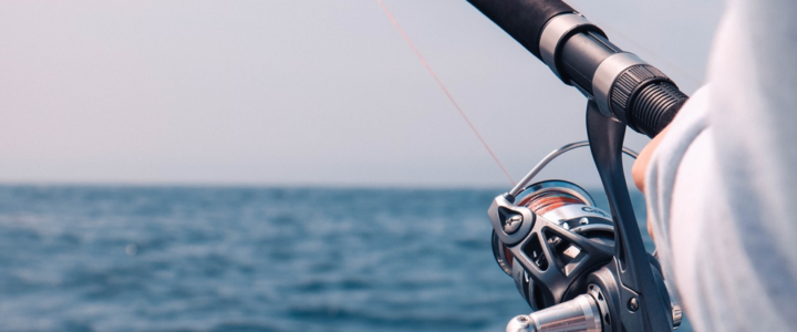 Here’s How You Can Make the Most Of Your Fishing Trip