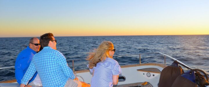 3 Dos And Don’ts For Whale Watching Tours